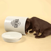 Howligans White Ceramic Treat Jar