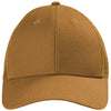 Color Light Brown