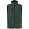 Color Dark Green