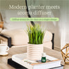 Lifelines Bubble White Grass Plant Plant Diffuser