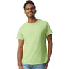 Gildan Men's Pistachio Ultra Cotton 6 oz. T-Shirt
