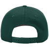 Richardson Dark Green Pro Twill Snapback