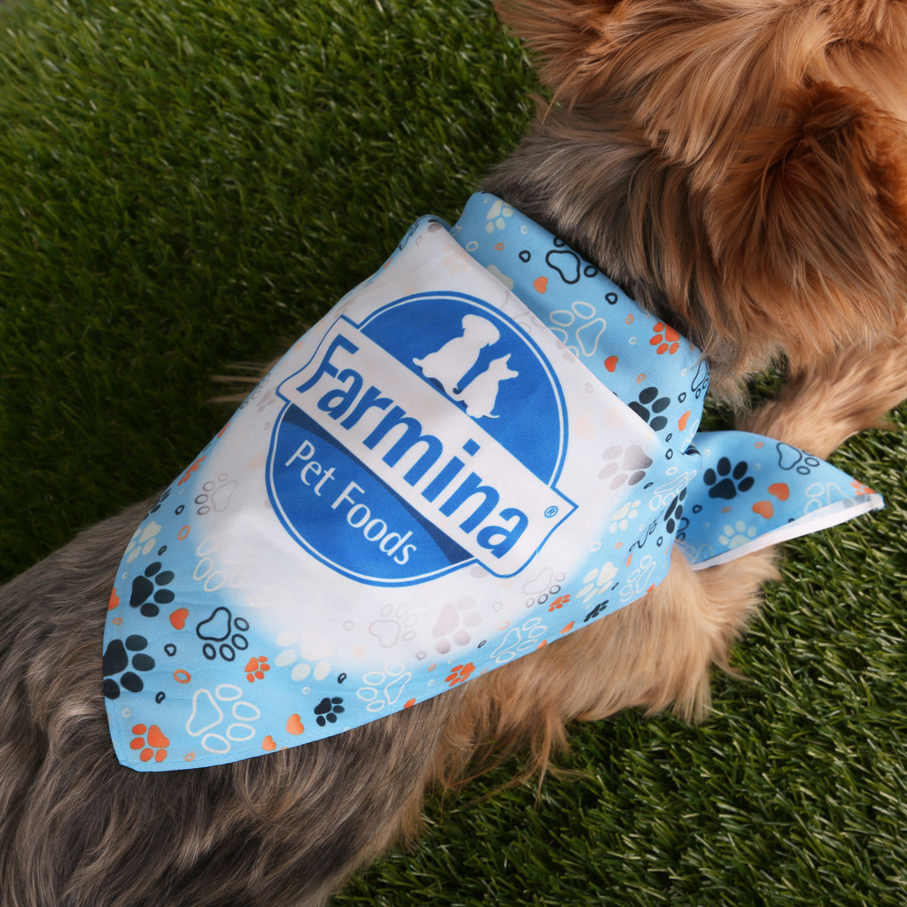 Evans Custom Sublimated RPET Bandana