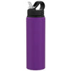 H2Go Matte Purple Virtue 26oz Aluminum Bottle