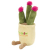 Chelsea Teddy Bear Cactus with Pink Bloom Zenzies 7