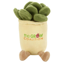 Chelsea Teddy Bear Succulent Zenzies 7