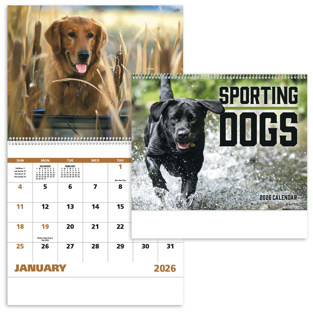 Good Value Custom Sporting Dogs - Spiral