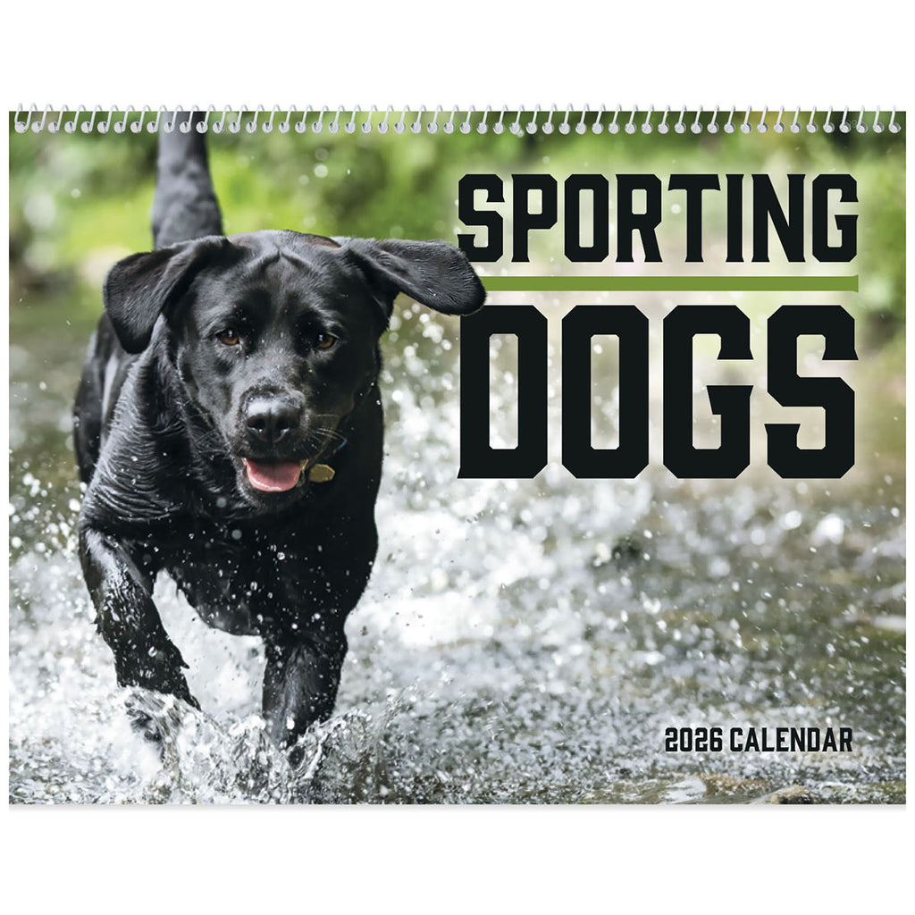 Good Value Custom Sporting Dogs - Spiral