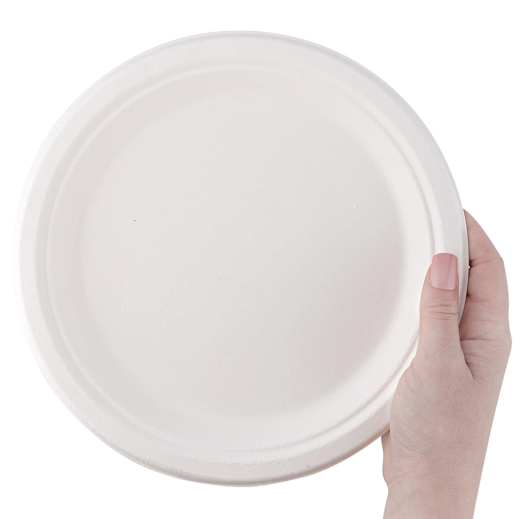 iPromotionPro White Disposable Paper Plates