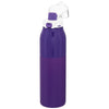 H2Go Matte Royal Purple Vigor 25oz Stainless Steel Bottle