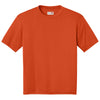 Color Burnt Orange