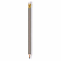 48-Hour BIC Silver Pencil Solids