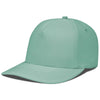 Color Light Green