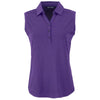 Color Violet