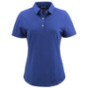 Color Cobalt
