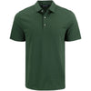 Color Dark Green