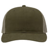 Color Olive