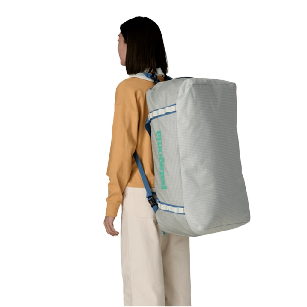 Patagonia Birch White Black Hole Duffel 70L