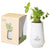 Modern Sprout White/Mint Tapered Tumbler Grow Kit