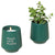 Modern Sprout Dark Teal/Thyme Rooted Candle