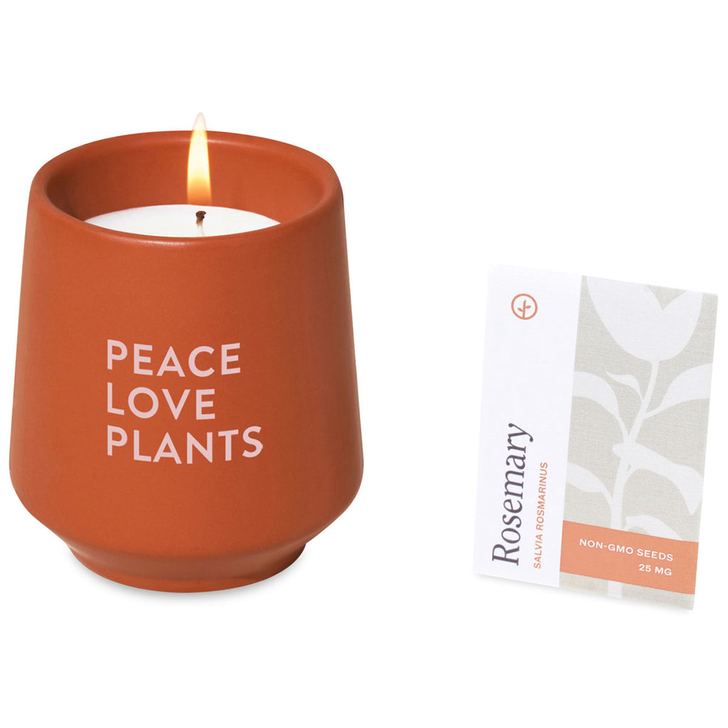 Modern Sprout Sienna/Rosemary Rooted Candle