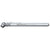 BIC Silver Double Ring Tire Pressure Gauge