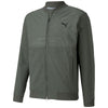 Color Olive