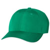 adidas Golf Amazon Green Performance Relaxed Poly Cap