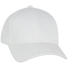 Ahead Vintage White/Vintage White Lynx Cap