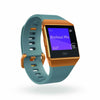 Fitbit Slate Blue/Burnt Orange Ionic Smartwatch