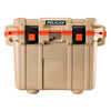 Color Light Brown